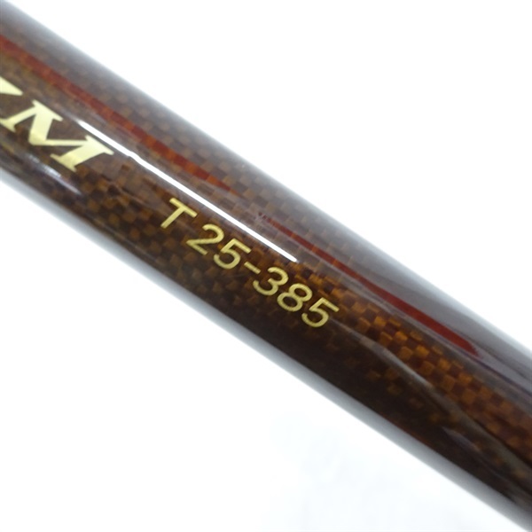 １３キャスティズムＴ２５－３８５